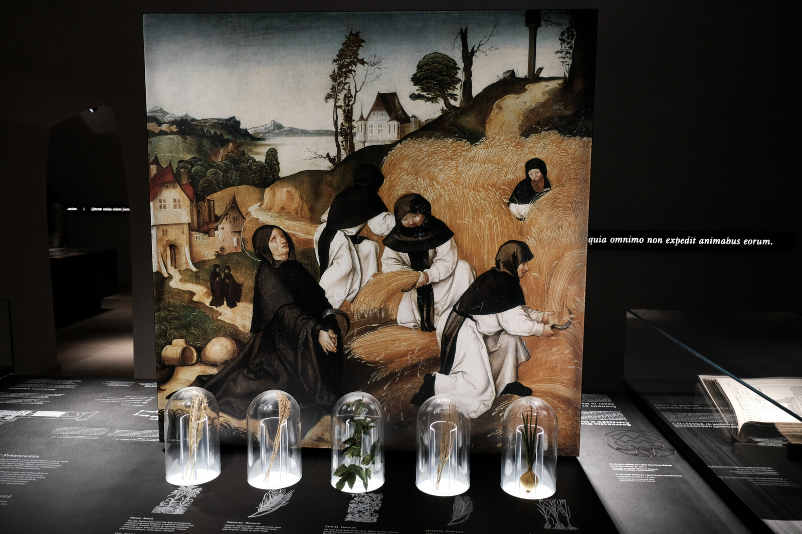 Nazwa:  DSCF0652.JPG
Wyświetleń: 186
Rozmiar:  531,0 KB