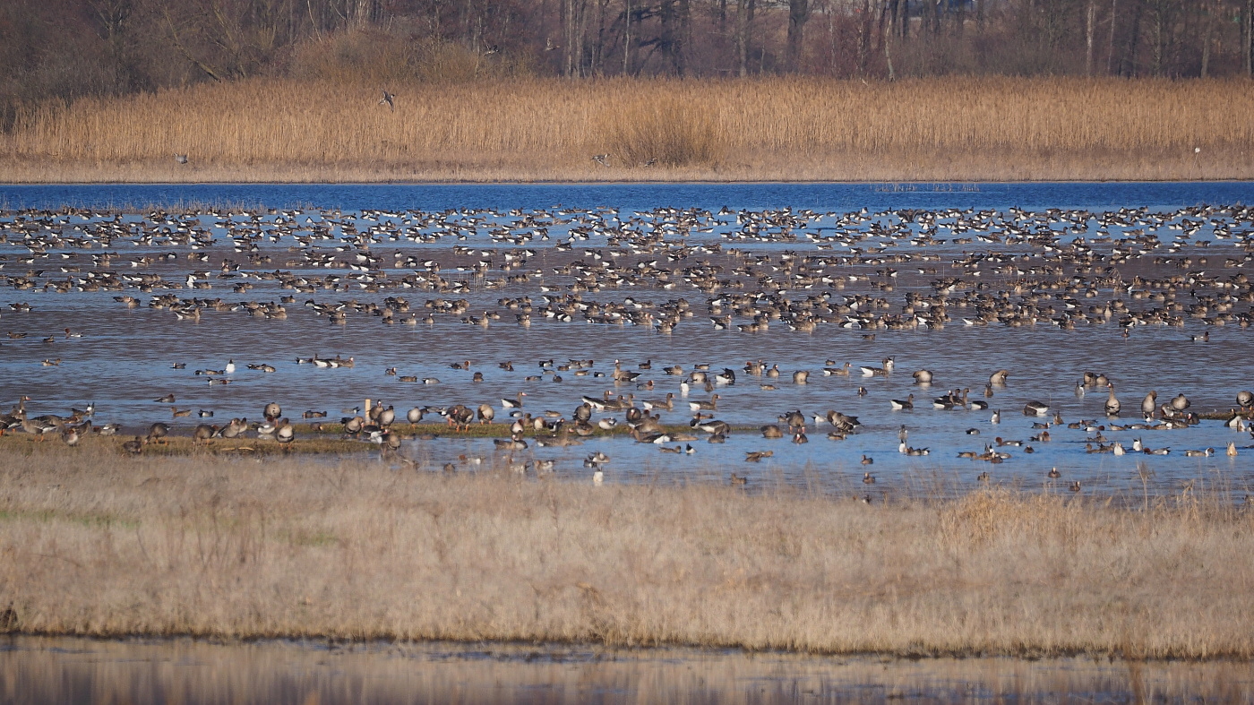 Nazwa:  P3200993_1 (2).jpg
Wyświetleń: 229
Rozmiar:  751,6 KB