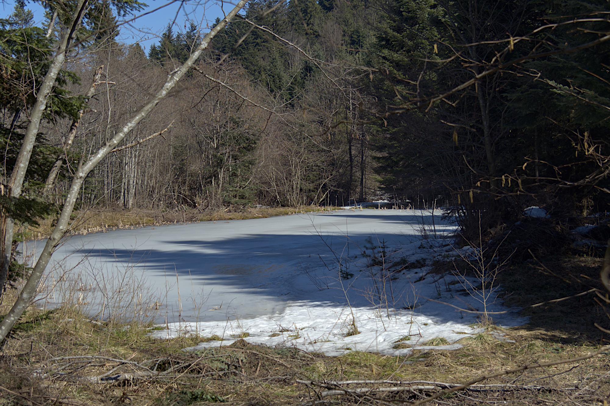 Nazwa:  P3280398.jpg
Wyświetleń: 142
Rozmiar:  1,97 MB