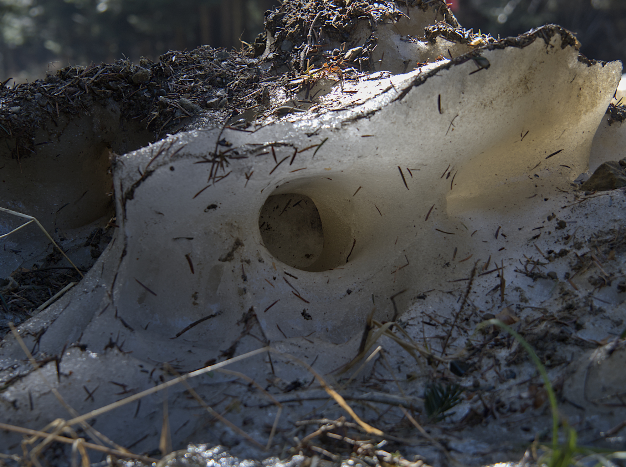 Nazwa:  P3280390.jpg
Wyświetleń: 140
Rozmiar:  1,99 MB