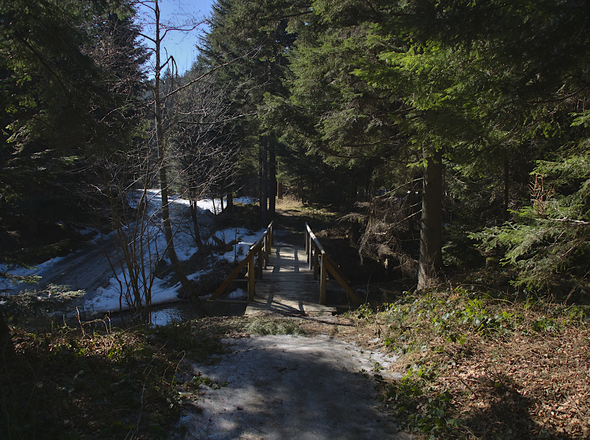 Nazwa:  P3280427.jpg
Wyświetleń: 239
Rozmiar:  1,96 MB