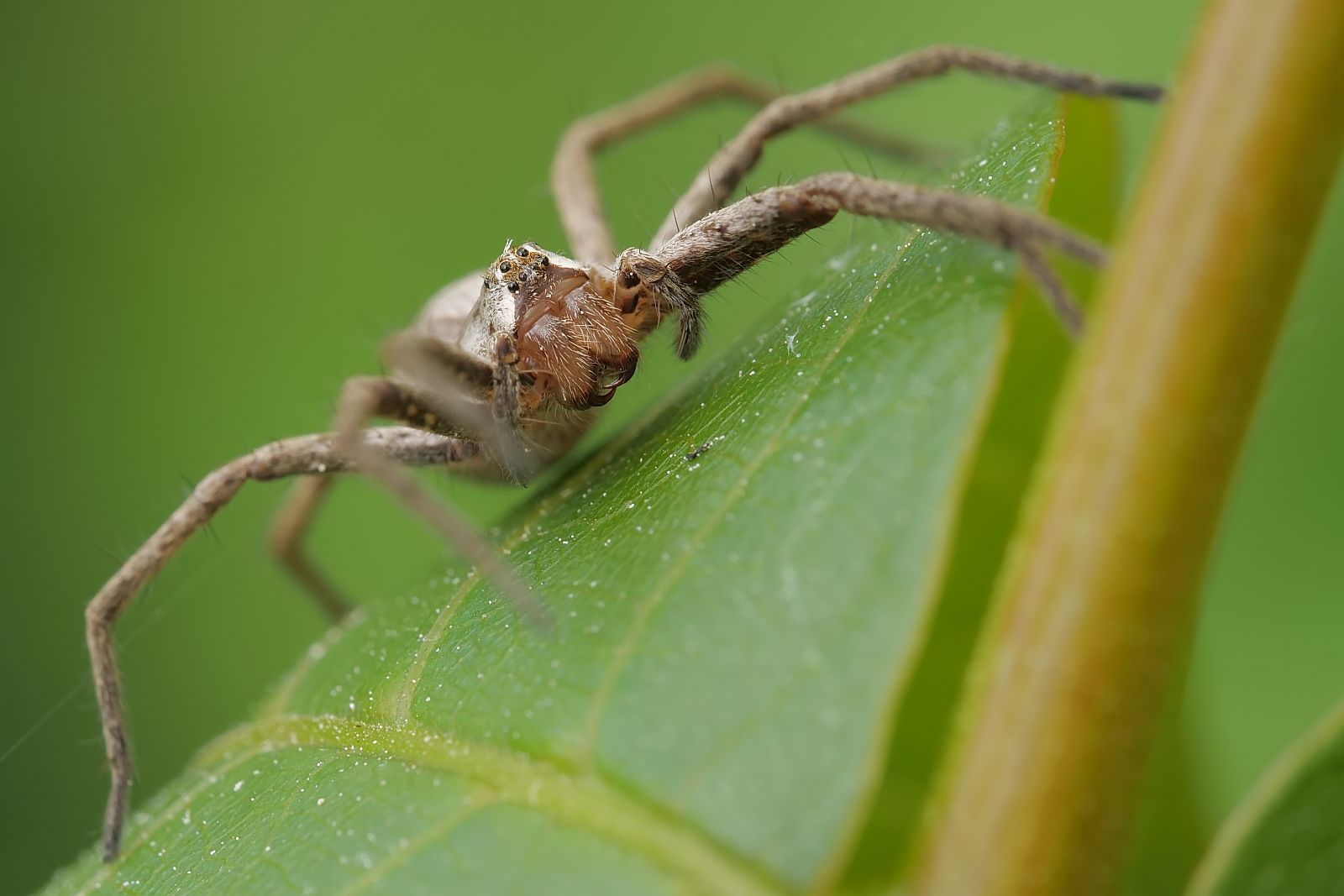 Nazwa:  51872276238_c586a5e5cf_o.jpg
Wyświetleń: 128
Rozmiar:  110,2 KB