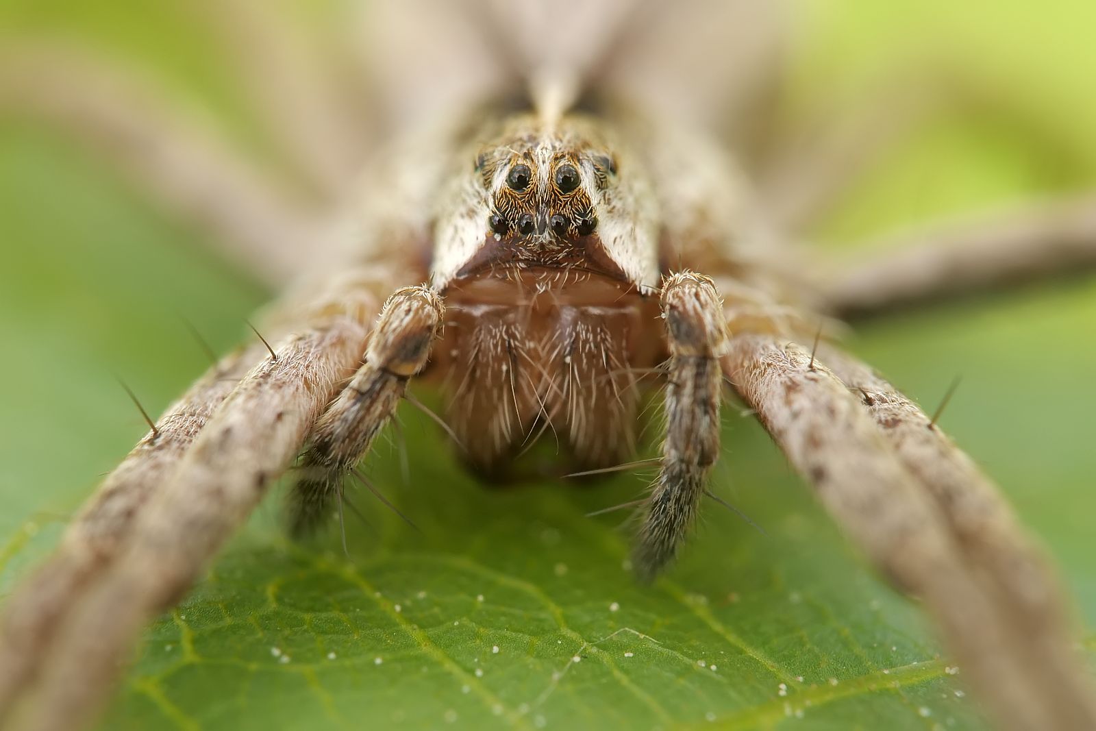 Nazwa:  51872842085_501430e923_o.jpg
Wyświetleń: 117
Rozmiar:  129,8 KB