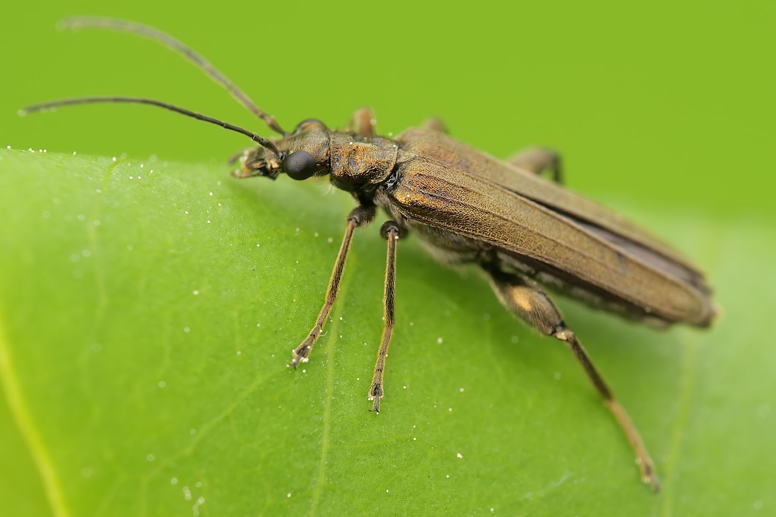 Nazwa:  51874682585_1011ebe356_o.jpg
Wyświetleń: 113
Rozmiar:  126,2 KB