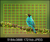 Kliknij obrazek, aby uzyskać większą wersję

Nazwa:	AF_area.jpeg
Wyświetleń:	134
Rozmiar:	1,68 MB
ID:	243537