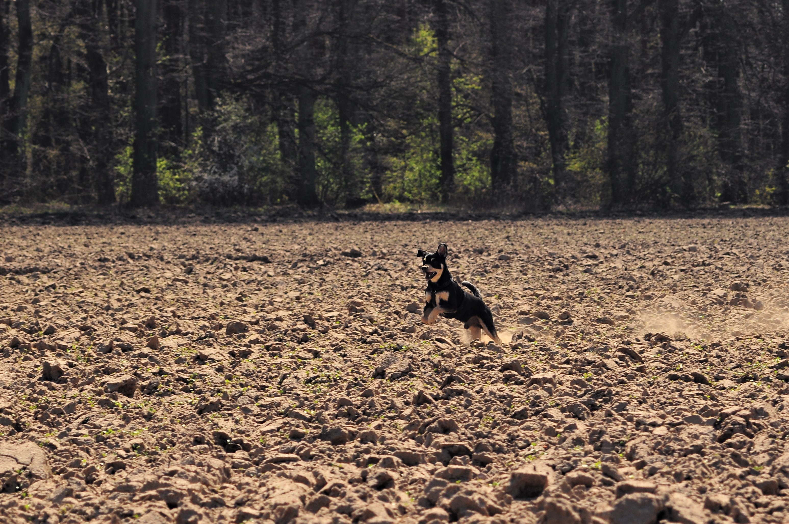 Nazwa:  zosin..jpg
Wyświetleń: 113
Rozmiar:  1,65 MB