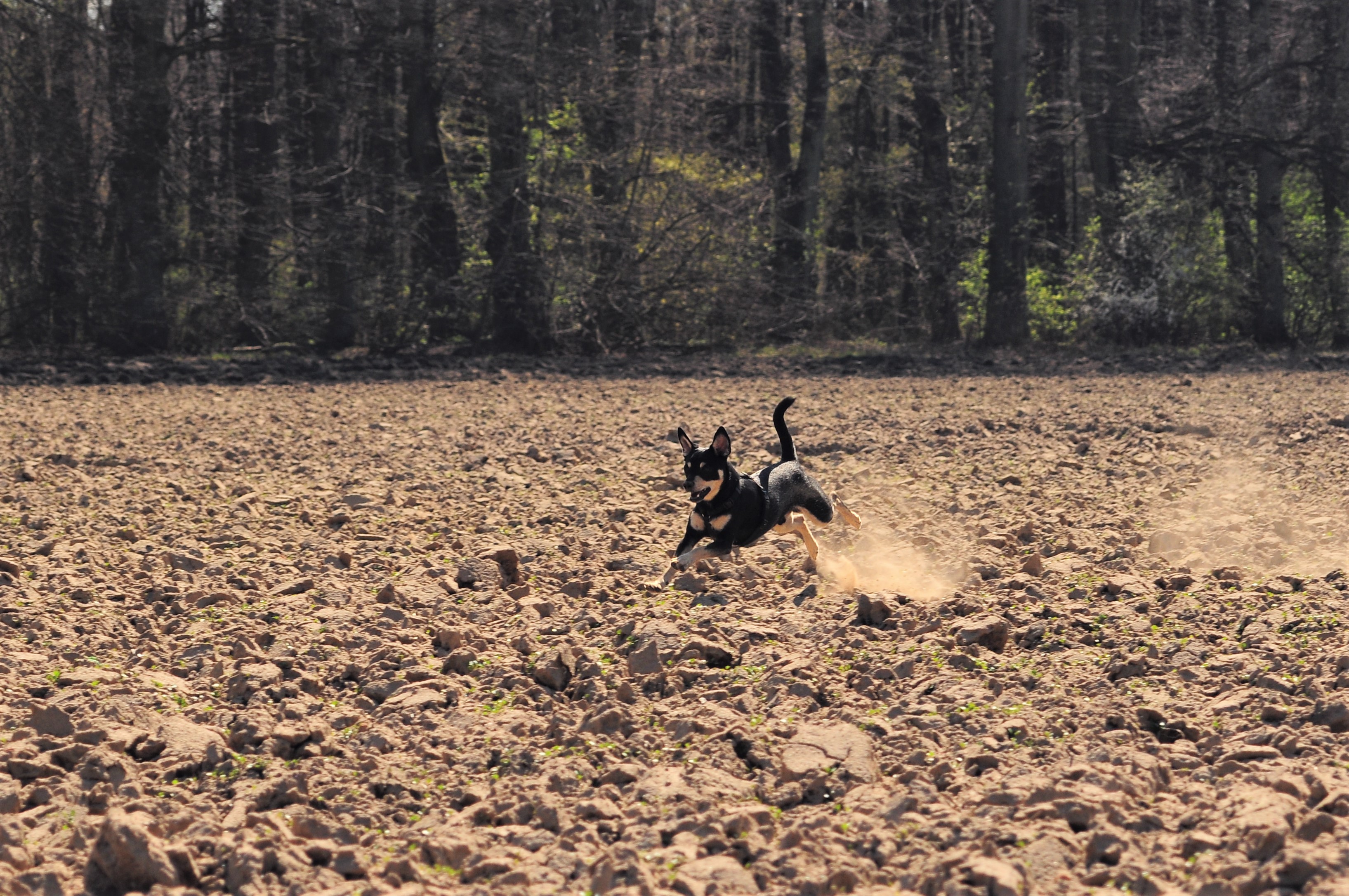 Nazwa:  zosin1..jpg
Wyświetleń: 121
Rozmiar:  1,74 MB
