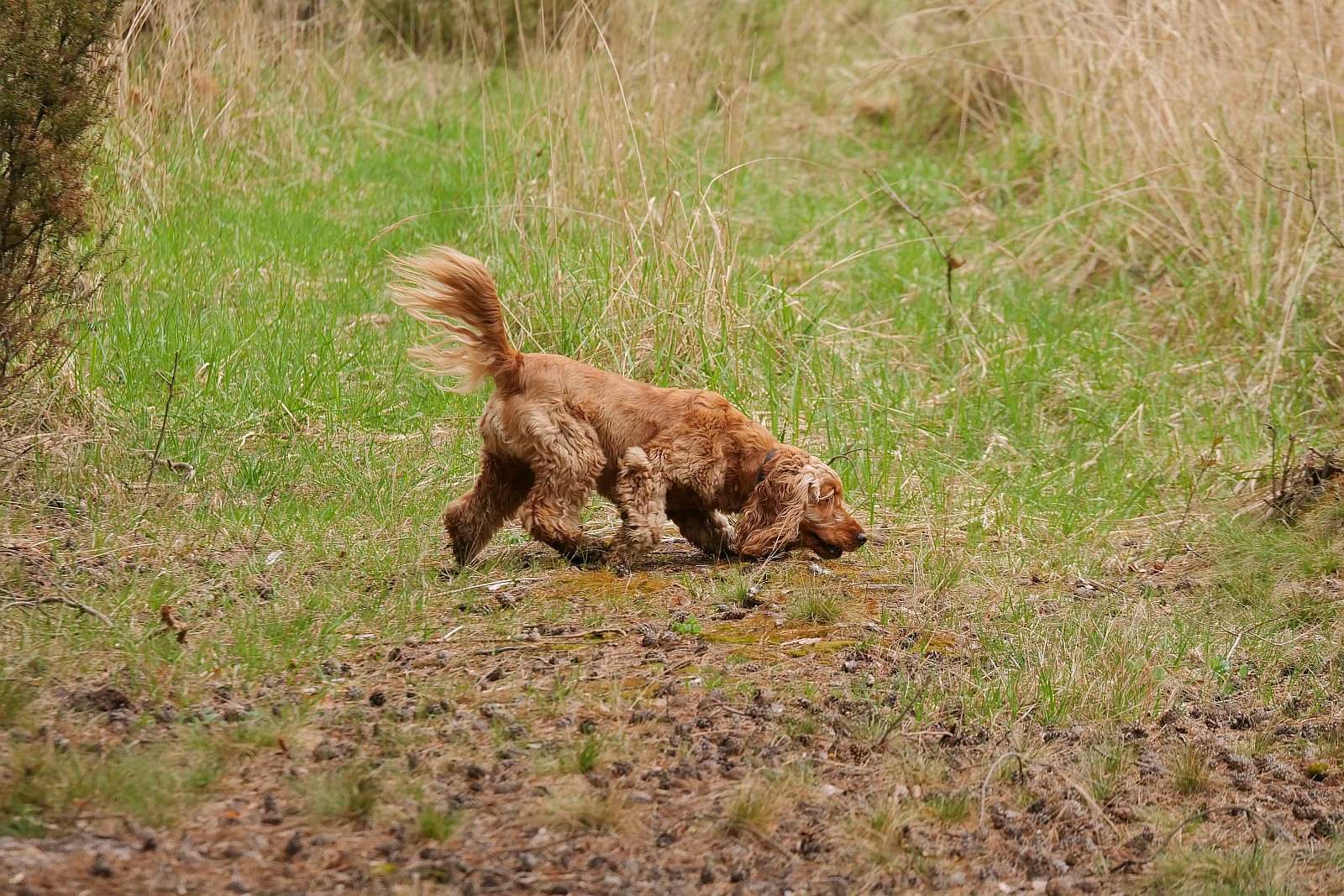 Nazwa:  Figa155217d.jpg
Wyświetleń: 86
Rozmiar:  755,0 KB