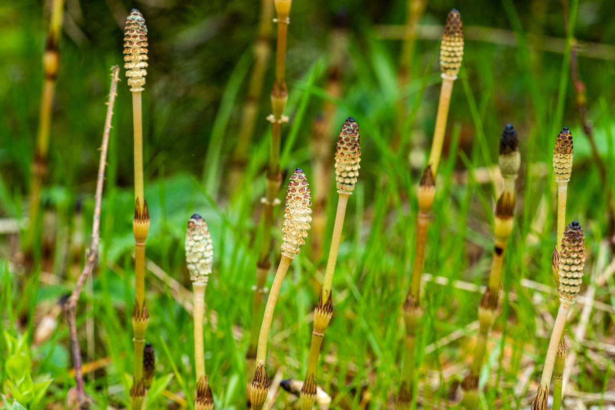 Nazwa:  272.jpg
Wyświetleń: 158
Rozmiar:  139,3 KB