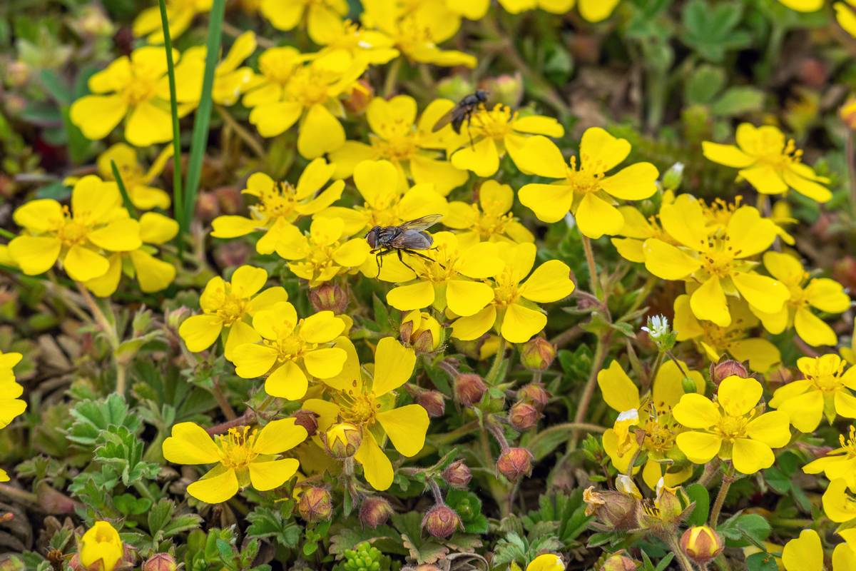 Nazwa:  271.jpg
Wyświetleń: 164
Rozmiar:  190,9 KB