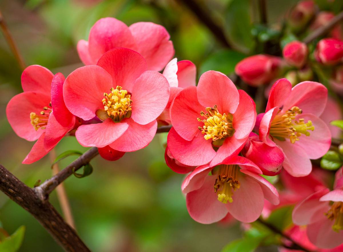 Nazwa:  242.jpg
Wyświetleń: 163
Rozmiar:  124,8 KB