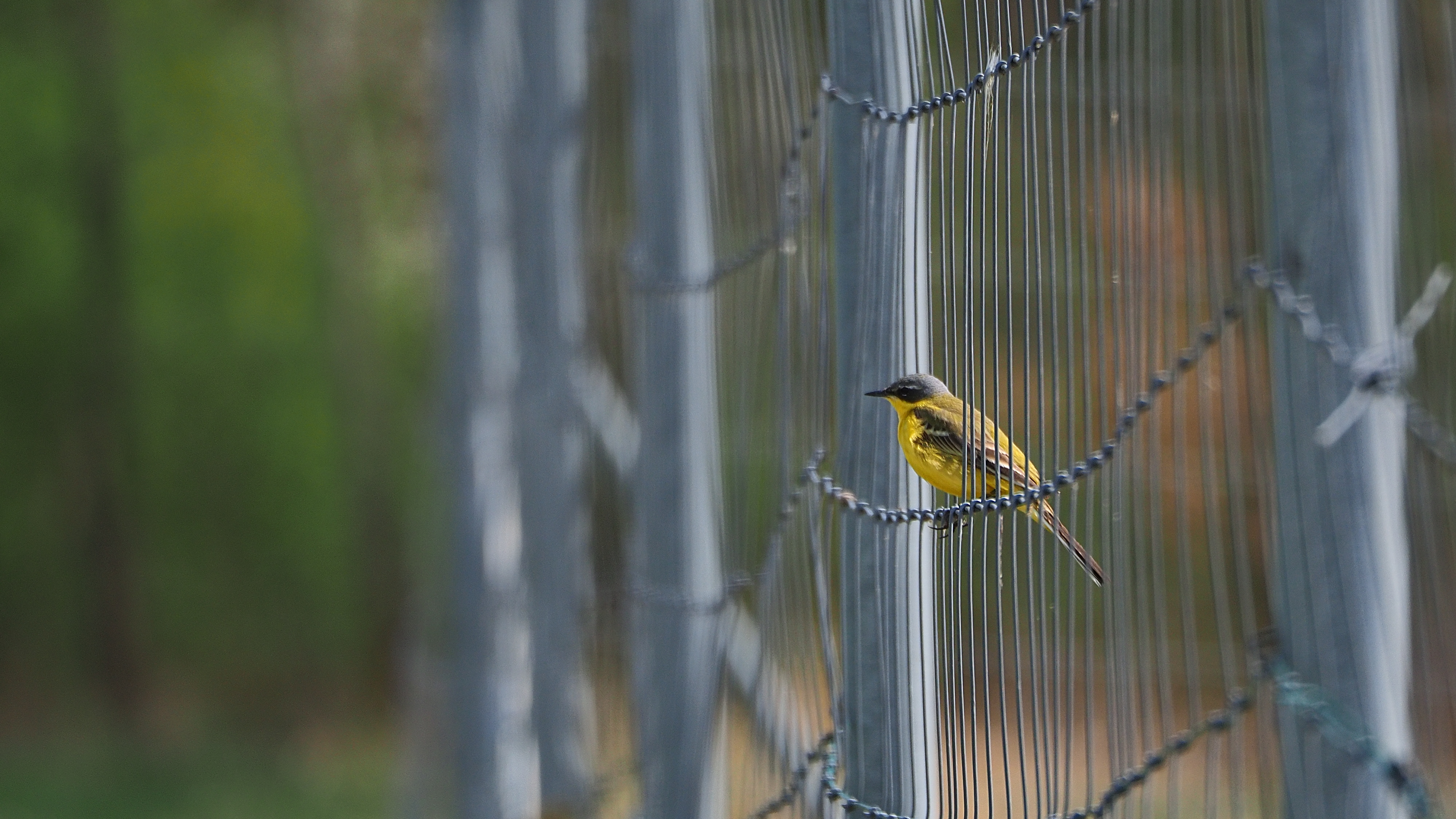 Nazwa:  P43000752.jpg
Wyświetleń: 675
Rozmiar:  3,50 MB