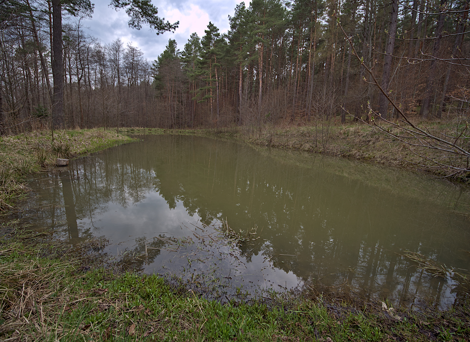 Nazwa:  P1059989.jpg
Wyświetleń: 158
Rozmiar:  1,96 MB