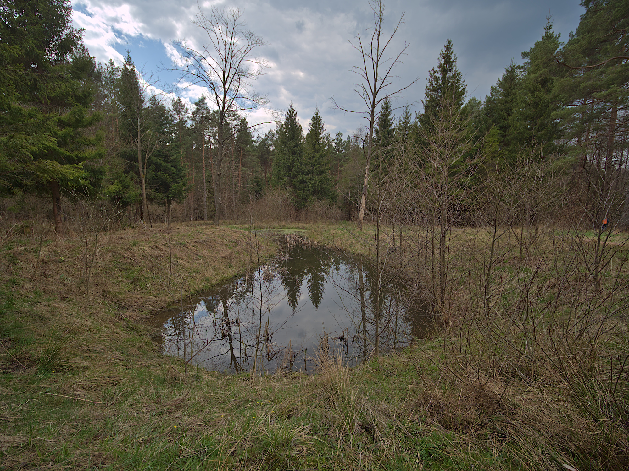 Nazwa:  P1059990.jpg
Wyświetleń: 158
Rozmiar:  1,94 MB