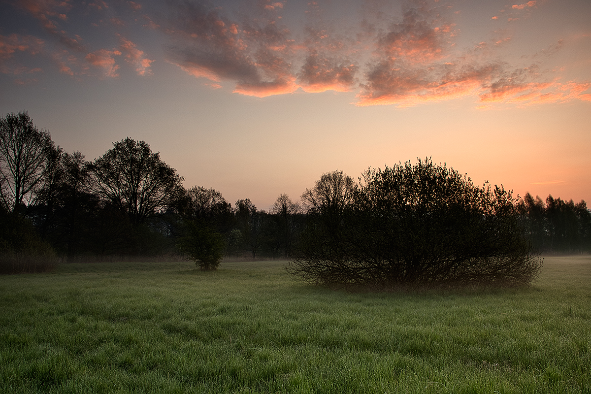 Nazwa:  _MG_0669.jpg
Wyświetleń: 125
Rozmiar:  913,4 KB