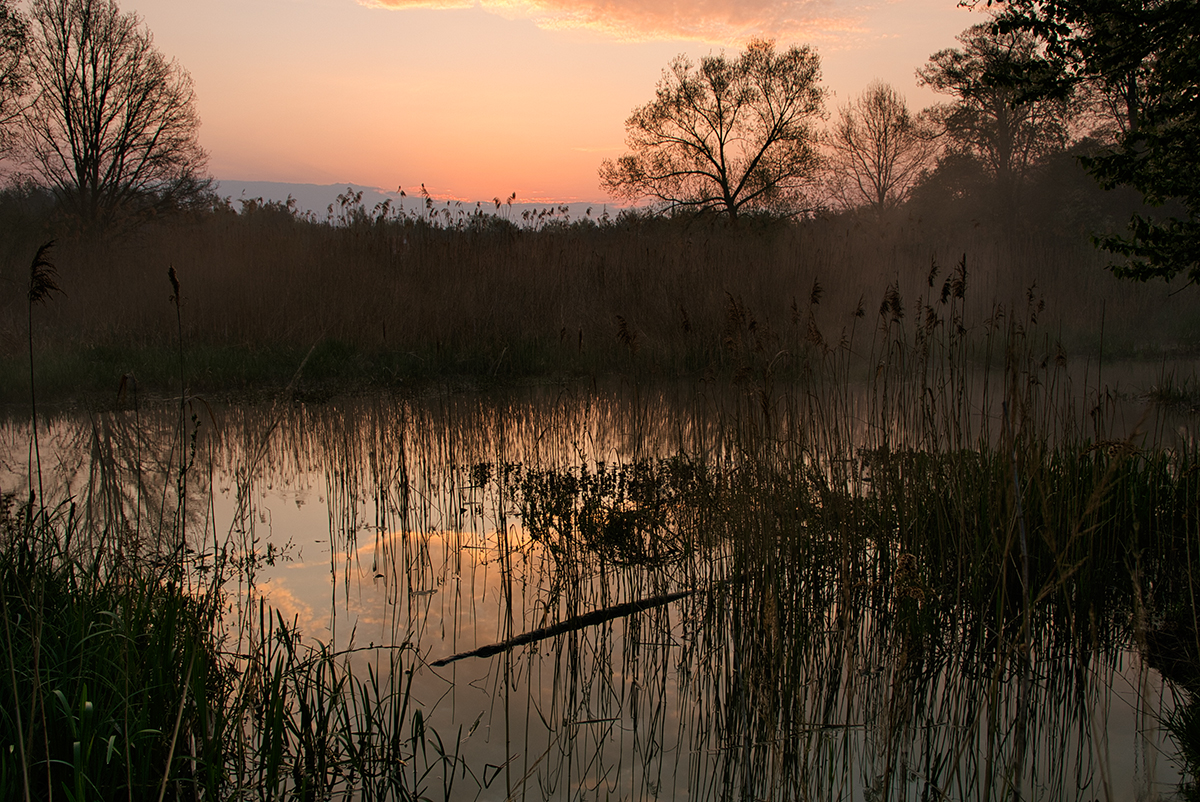 Nazwa:  _MG_0674.jpg
Wyświetleń: 122
Rozmiar:  1,05 MB