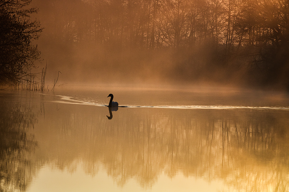 Nazwa:  _MG_0635.jpg
Wyświetleń: 121
Rozmiar:  863,2 KB