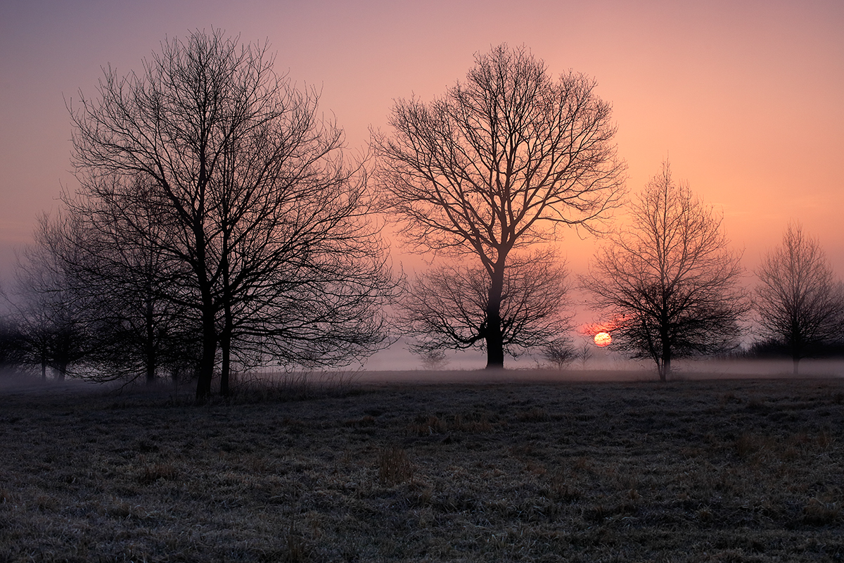Nazwa:  _MG_0619.jpg
Wyświetleń: 126
Rozmiar:  1,01 MB
