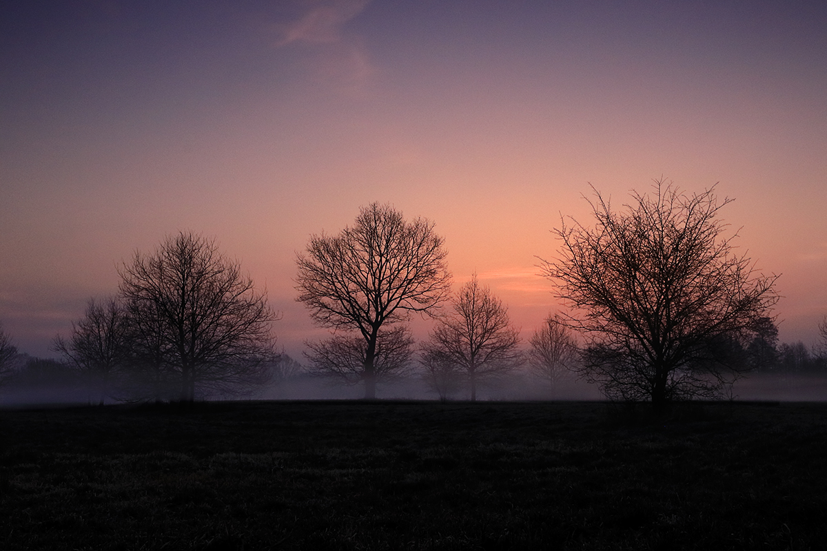 Nazwa:  _MG_0614.jpg
Wyświetleń: 130
Rozmiar:  647,7 KB