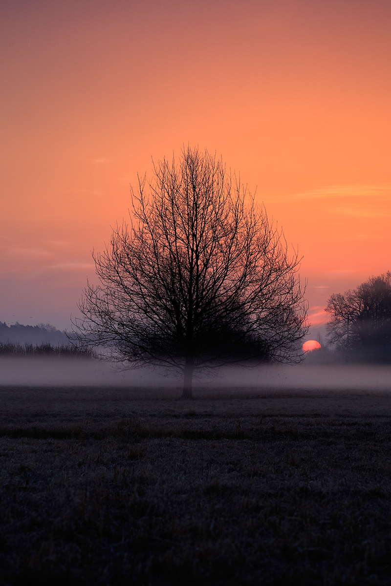 Nazwa:  _MG_0617.jpg
Wyświetleń: 127
Rozmiar:  679,3 KB