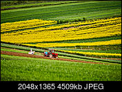 Kliknij obrazek, aby uzyskać większą wersję

Nazwa:	_DSC3647.jpg
Wyświetleń:	193
Rozmiar:	4,40 MB
ID:	244437