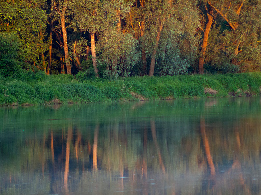 Nazwa:  P6112079.jpg
Wyświetleń: 94
Rozmiar:  370,7 KB