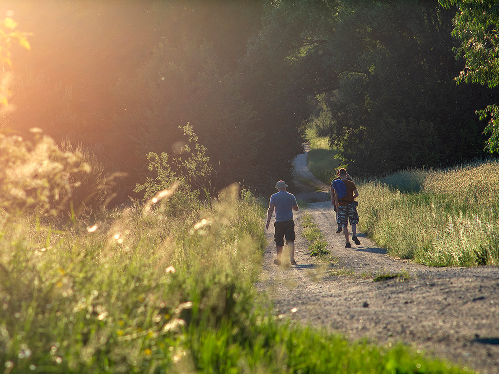 Nazwa:  P6112293.jpg
Wyświetleń: 95
Rozmiar:  310,7 KB