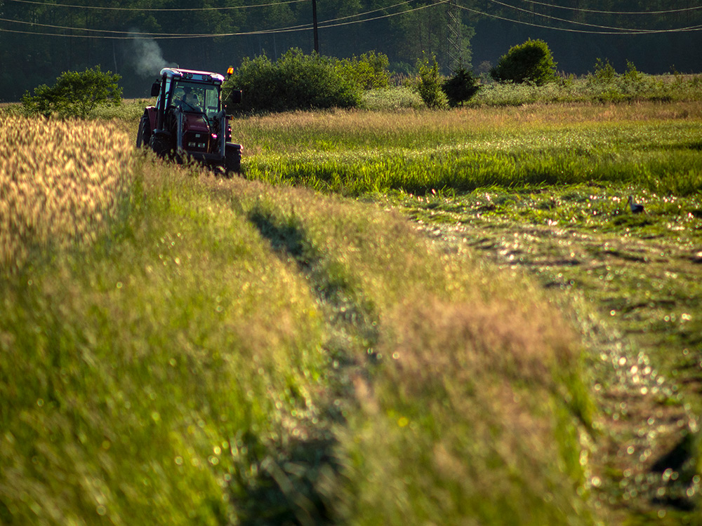 Nazwa:  P6112279.jpg
Wyświetleń: 93
Rozmiar:  344,8 KB