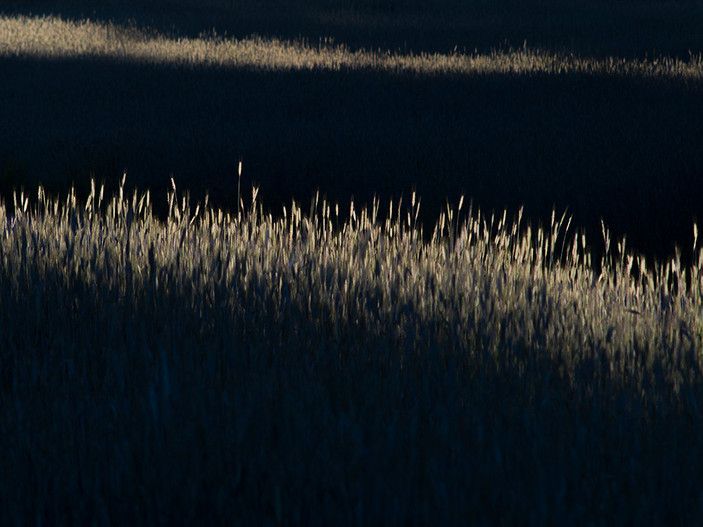 Nazwa:  P6112320.jpg
Wyświetleń: 93
Rozmiar:  190,1 KB