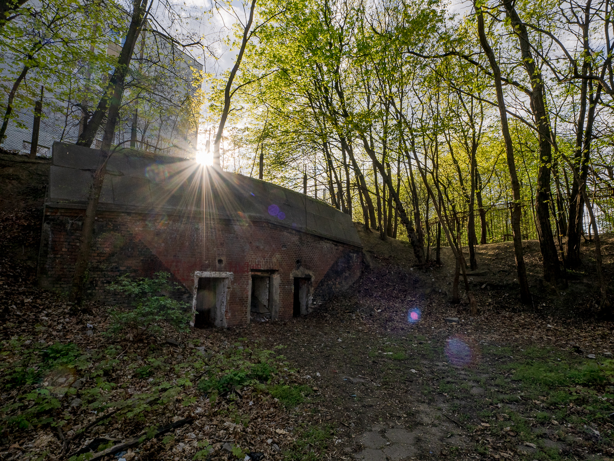 Nazwa:  P4280363.jpg
Wyświetleń: 417
Rozmiar:  1,44 MB