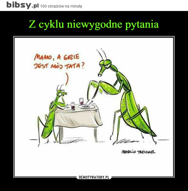 Nazwa:  mamo-a-gdzie-jest-moj-tata.jpeg
Wyświetleń: 244
Rozmiar:  53,7 KB