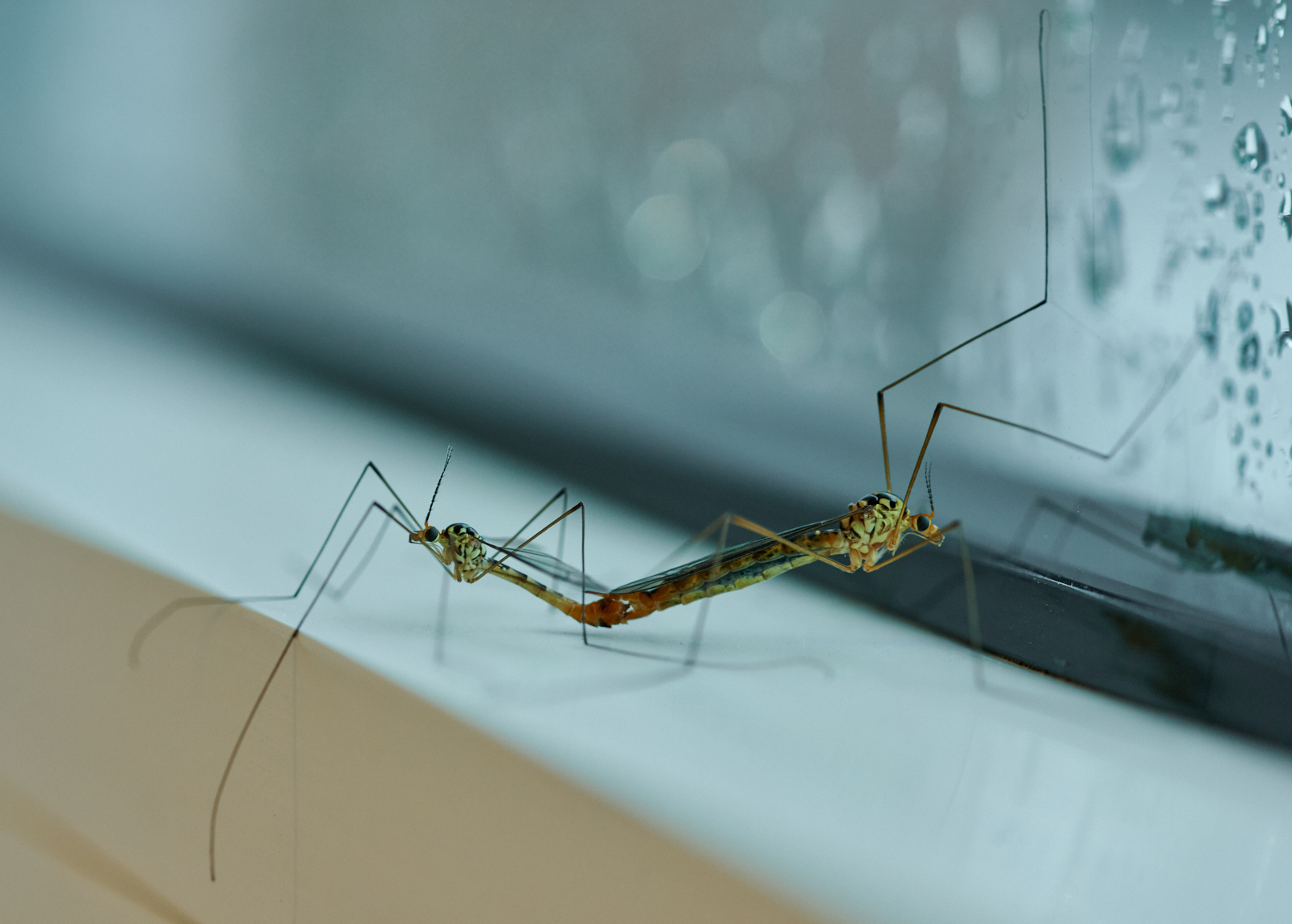 Nazwa:  _SZR0630 11.jpg
Wyświetleń: 203
Rozmiar:  1.011,6 KB