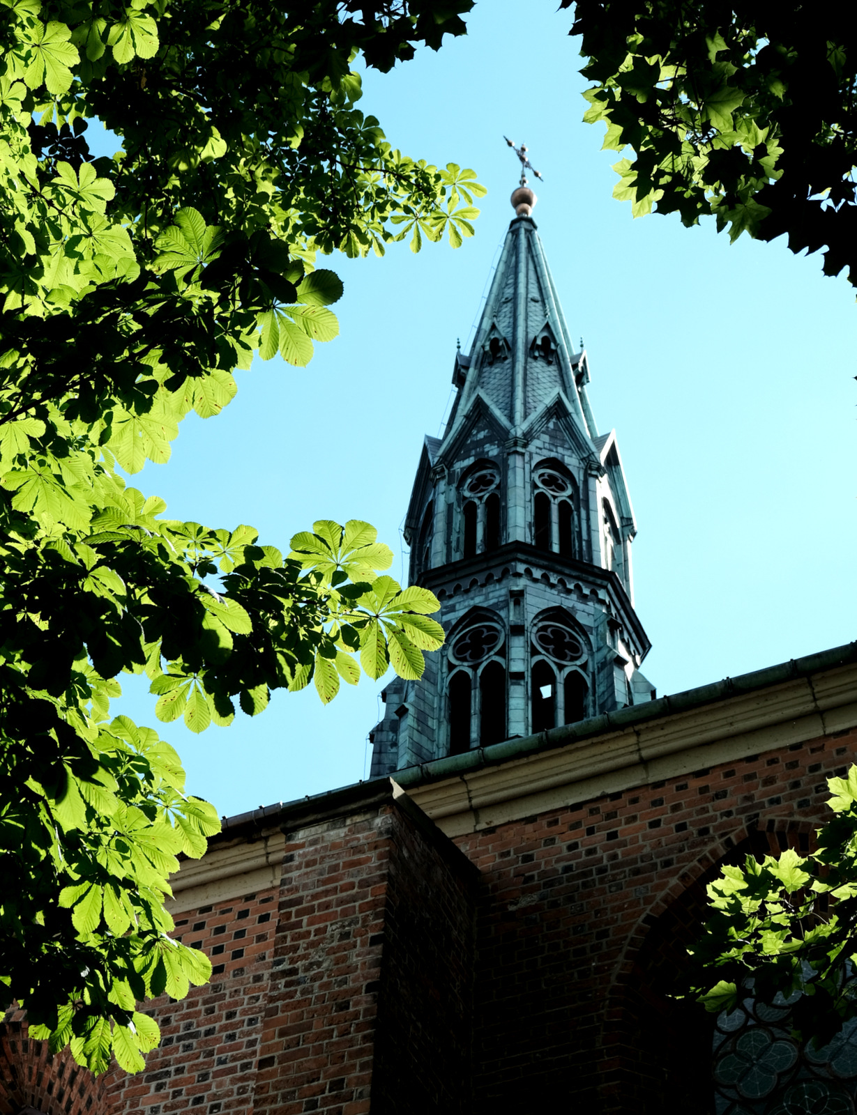 Nazwa:  DSCF1332.JPG
Wyświetleń: 163
Rozmiar:  782,3 KB