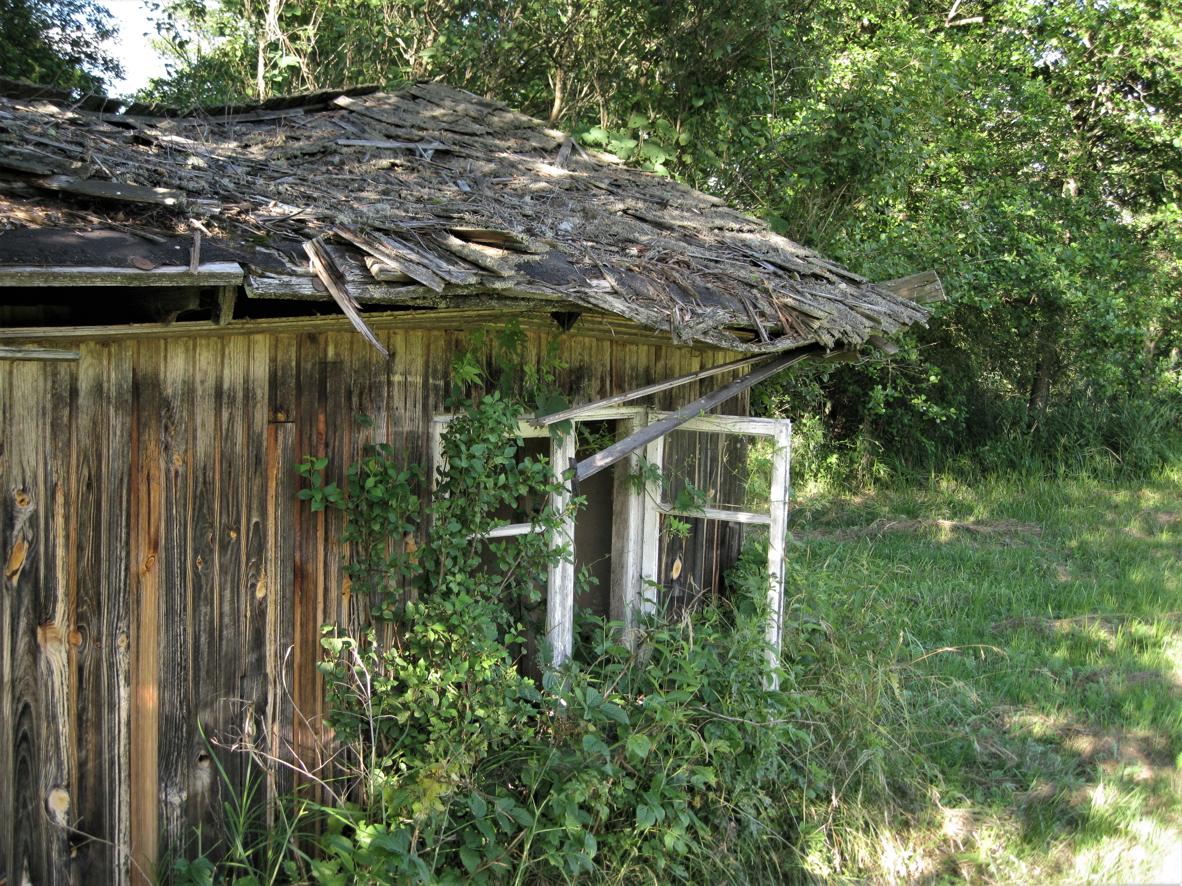 Nazwa:  podlasie2..jpg
Wyświetleń: 132
Rozmiar:  4,34 MB