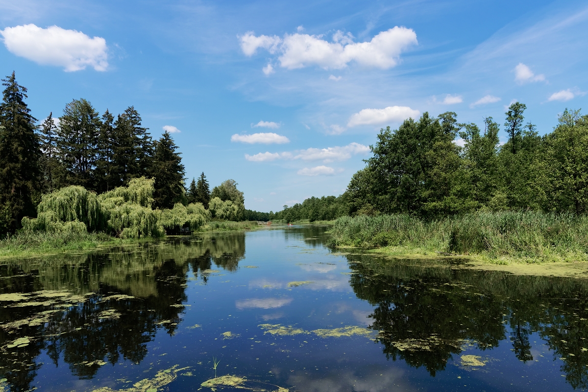 Nazwa:  krajobraz.jpg
Wyświetleń: 249
Rozmiar:  865,1 KB