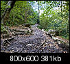 Kliknij obrazek, aby uzyskać większą wersję

Nazwa:	PA076757.jpg
Wyświetleń:	310
Rozmiar:	381,0 KB
ID:	24690