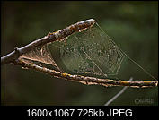 Kliknij obrazek, aby uzyskać większą wersję

Nazwa:	_DSC4915.jpg
Wyświetleń:	95
Rozmiar:	725,0 KB
ID:	246903