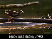 Kliknij obrazek, aby uzyskać większą wersję

Nazwa:	_DSC4929.jpg
Wyświetleń:	103
Rozmiar:	565,3 KB
ID:	246904