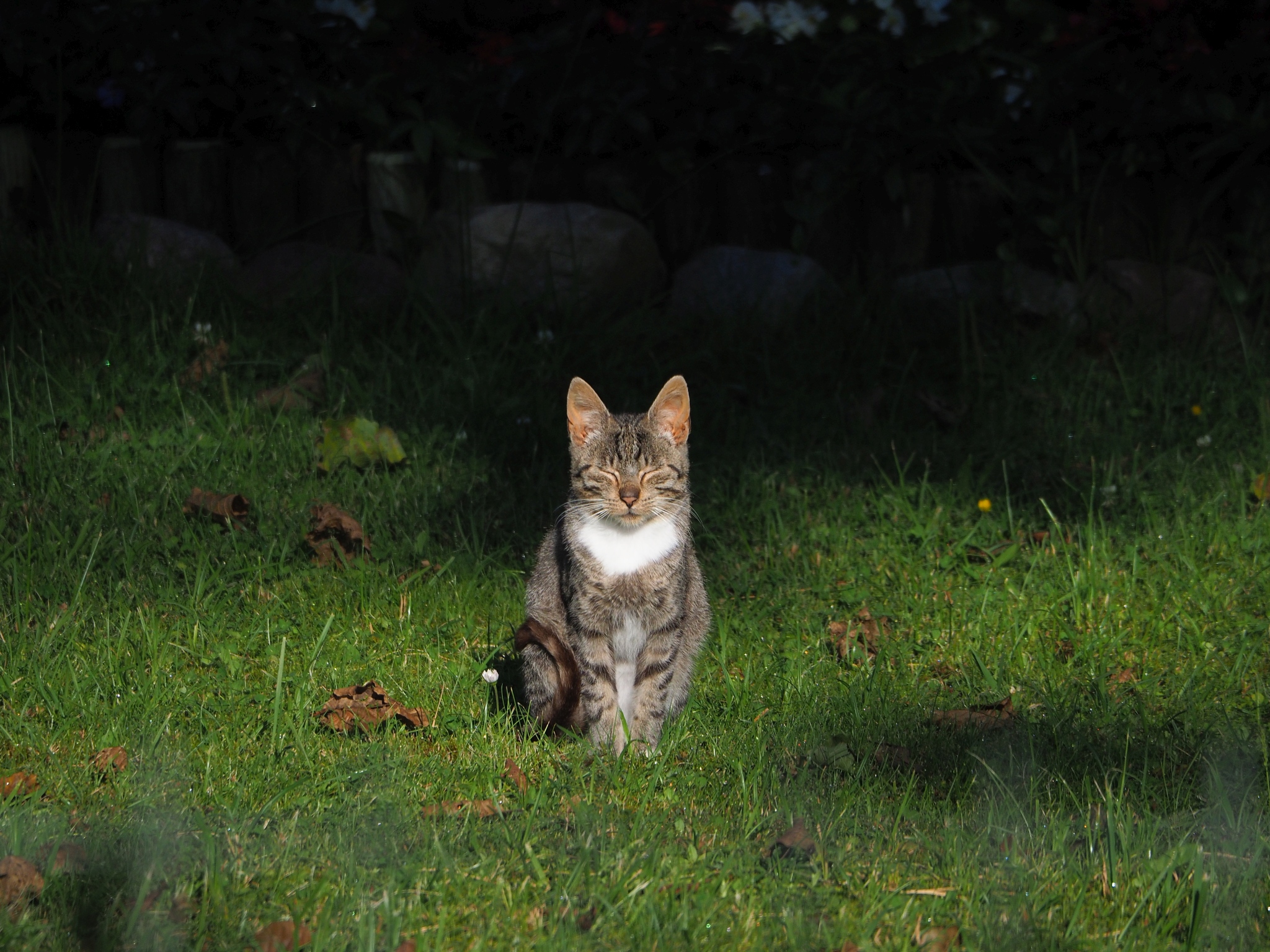 Nazwa:  P8070272.JPG
Wyświetleń: 495
Rozmiar:  1,26 MB