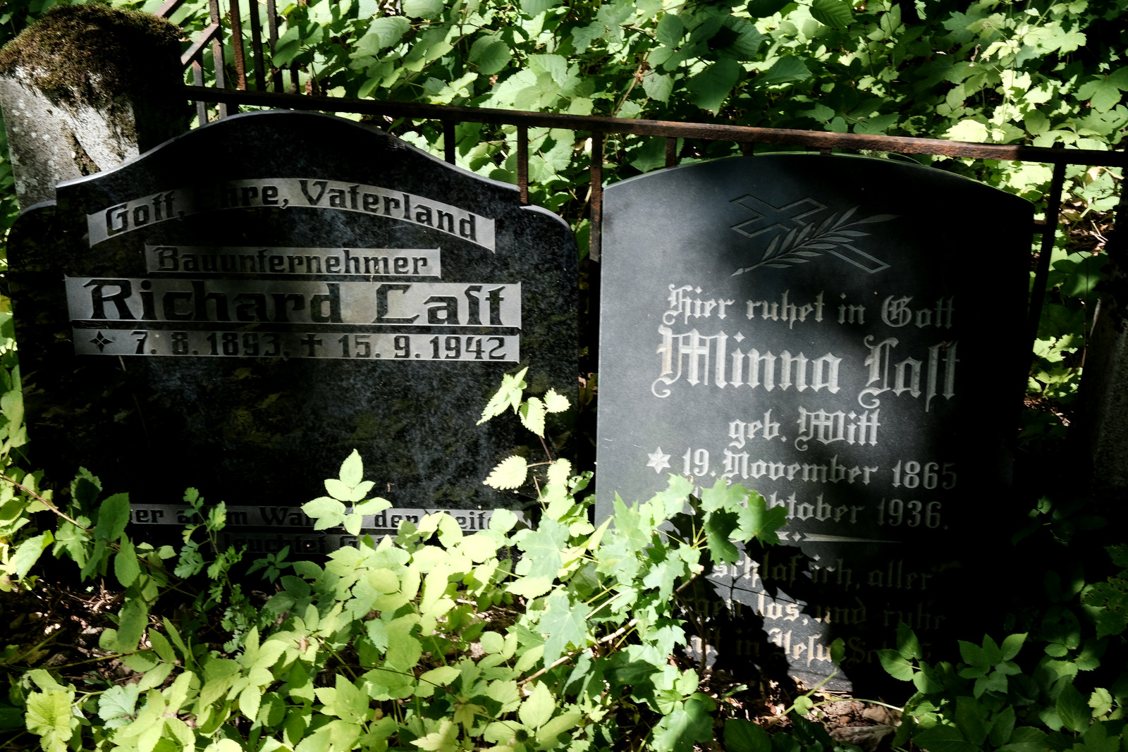 Nazwa:  DSCF1502.JPG
Wyświetleń: 147
Rozmiar:  722,7 KB