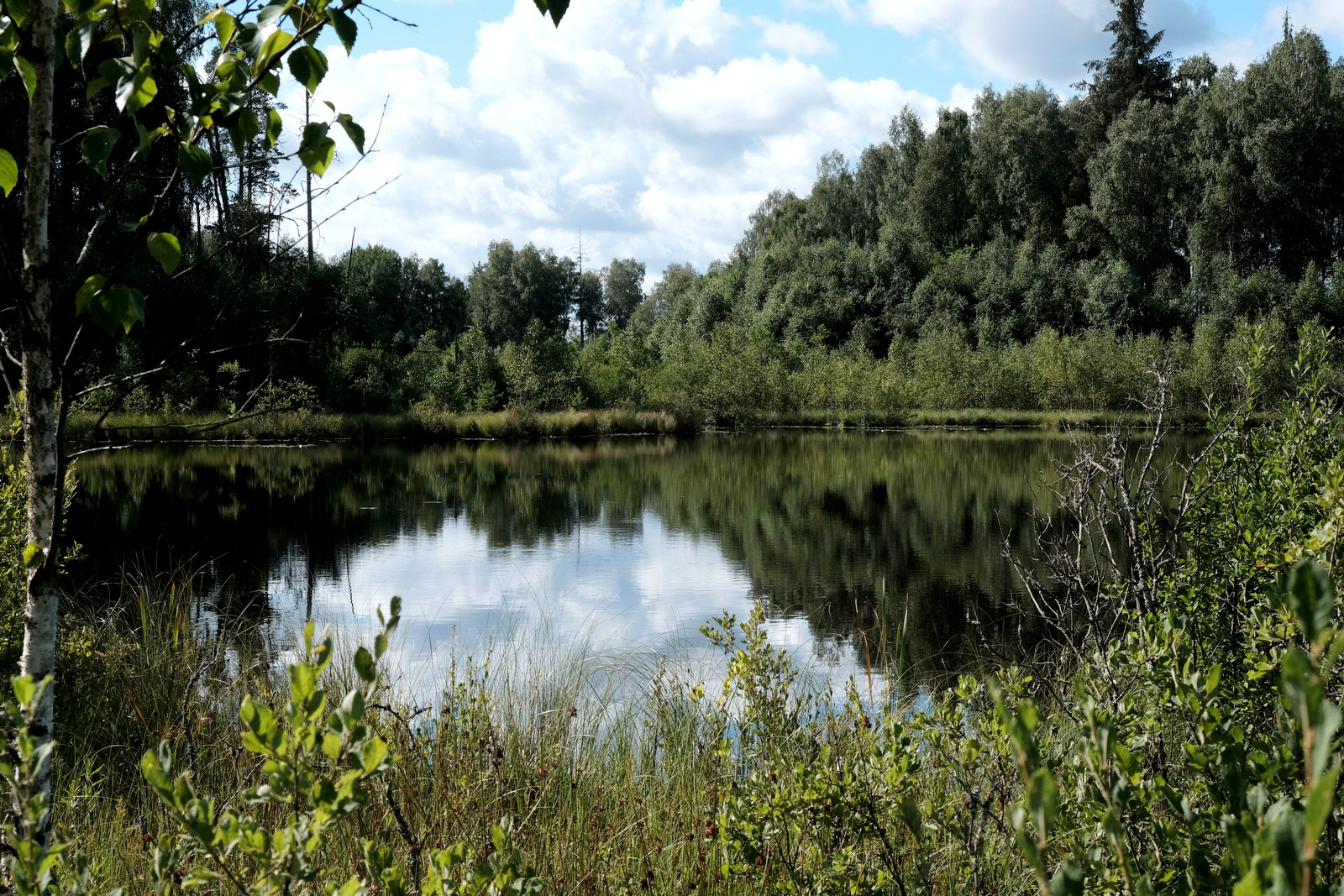Nazwa:  DSCF1618.JPG
Wyświetleń: 213
Rozmiar:  958,8 KB
