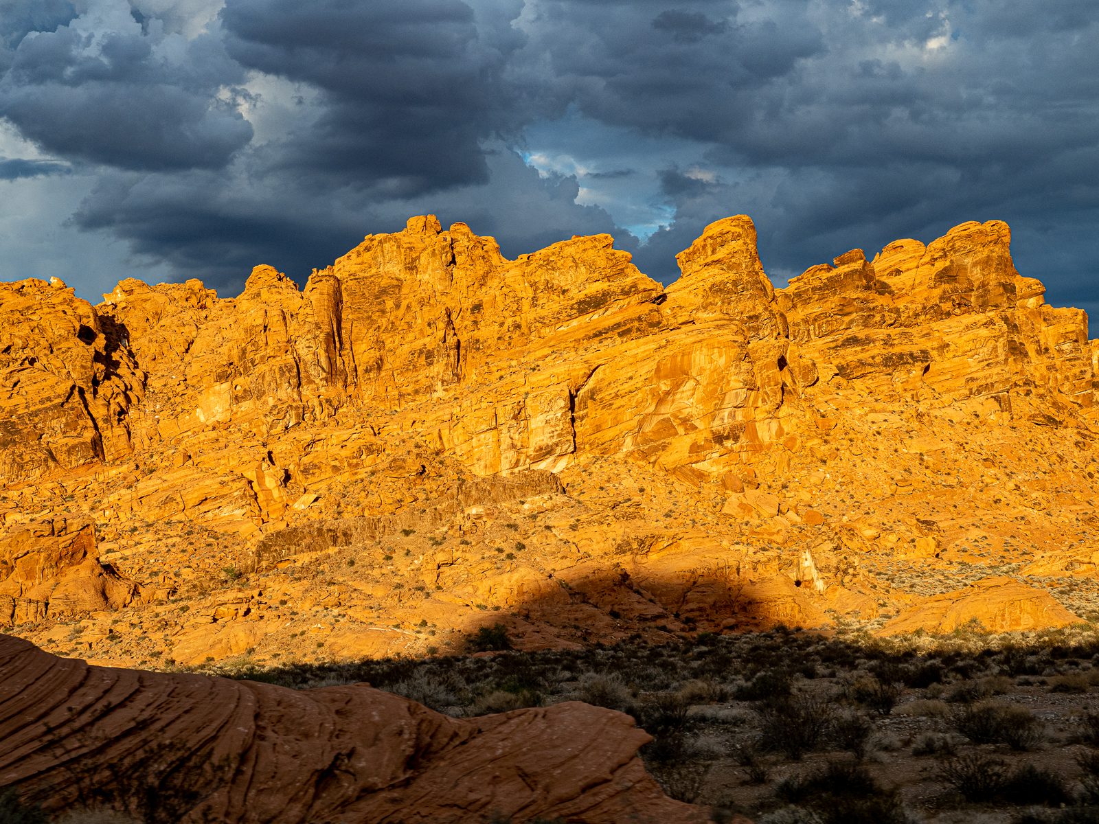 Nazwa:  _8162120.jpg
Wyświetleń: 237
Rozmiar:  2,37 MB