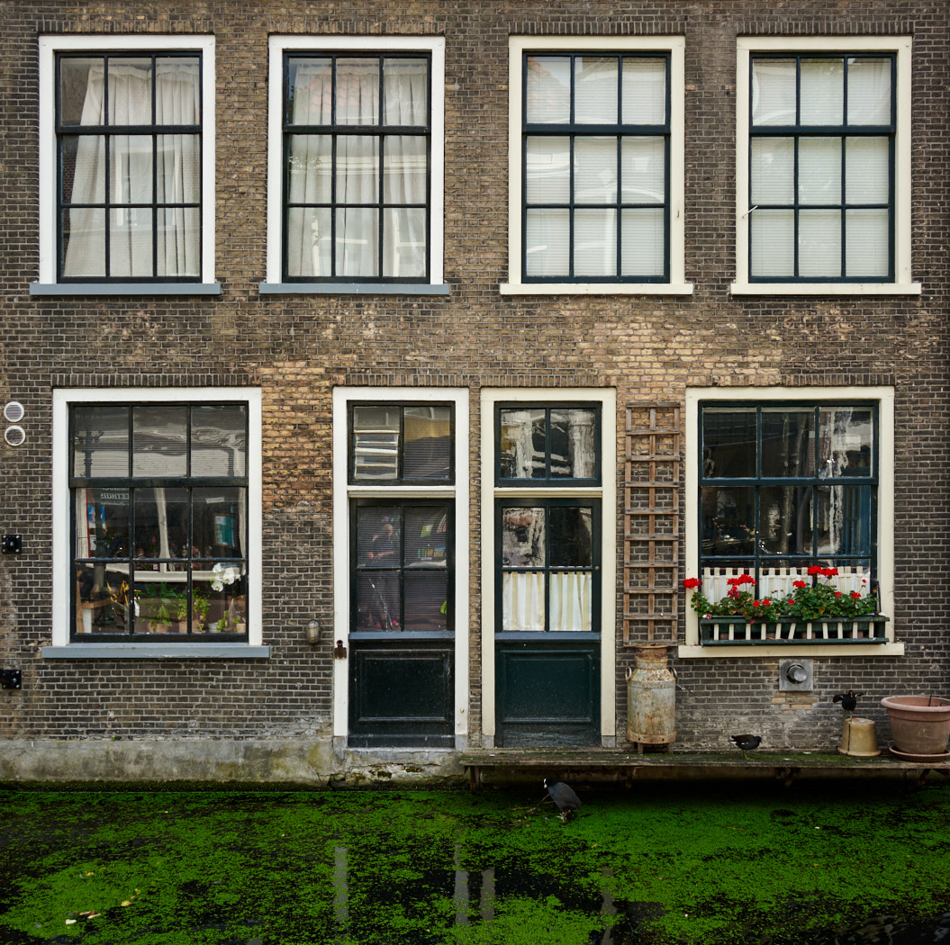 Nazwa:  _7NO4853.jpg
Wyświetleń: 172
Rozmiar:  537,4 KB