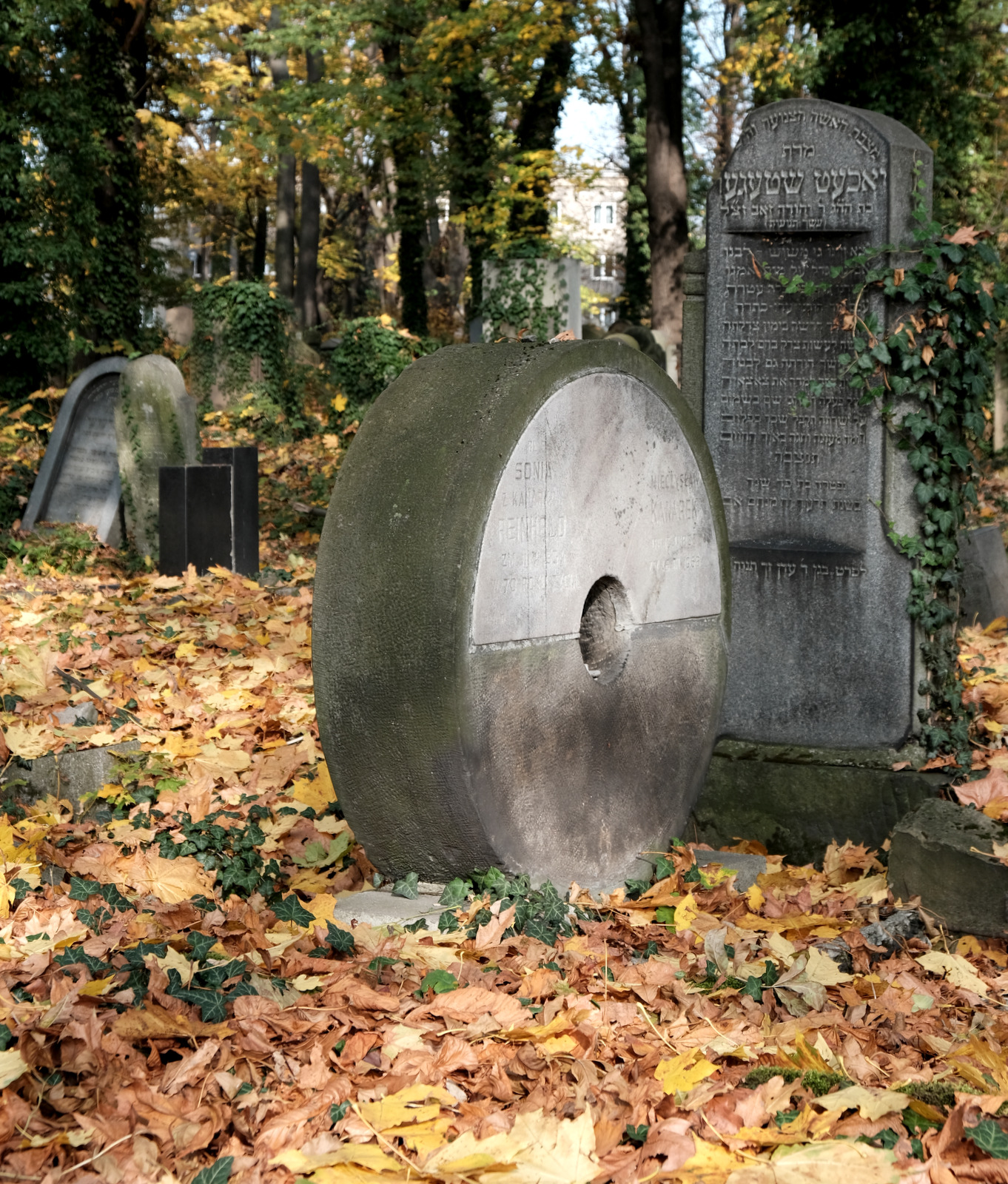 Nazwa:  DSCF3095.JPG
Wyświetleń: 166
Rozmiar:  976,0 KB