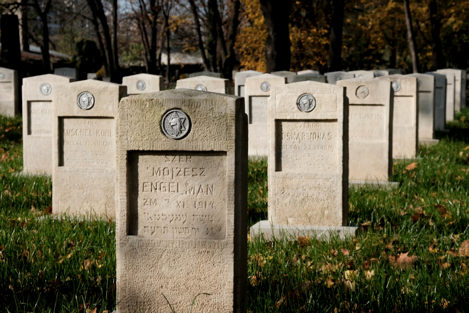 Nazwa:  DSCF3101.JPG
Wyświetleń: 175
Rozmiar:  599,3 KB