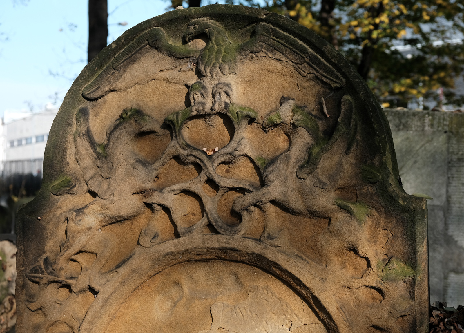 Nazwa:  DSCF3107.JPG
Wyświetleń: 180
Rozmiar:  773,2 KB