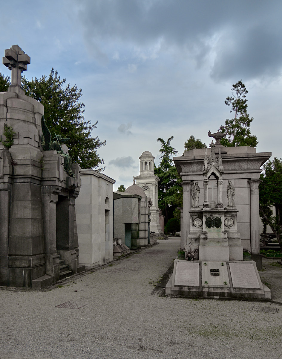 Nazwa:  _JJC5885 1.jpg
Wyświetleń: 163
Rozmiar:  297,8 KB