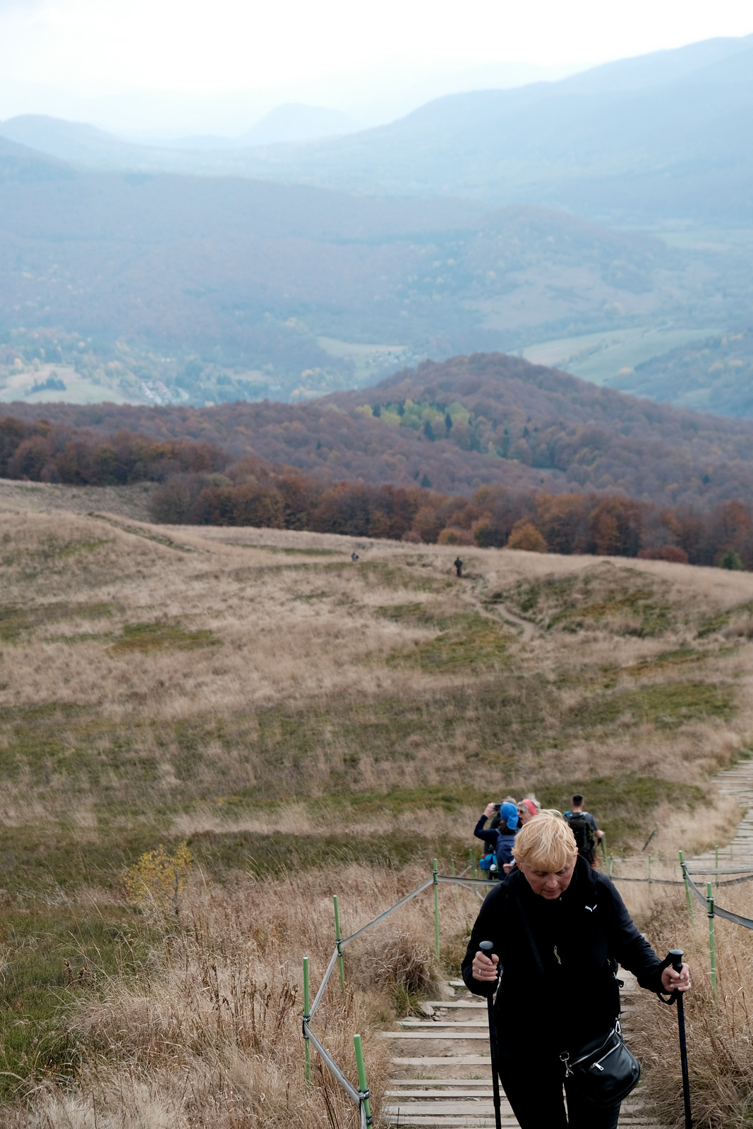 Nazwa:  DSCF2903.JPG
Wyświetleń: 111
Rozmiar:  497,3 KB