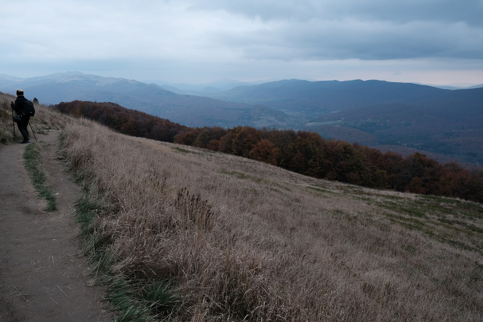 Nazwa:  DSCF2907.JPG
Wyświetleń: 114
Rozmiar:  573,1 KB