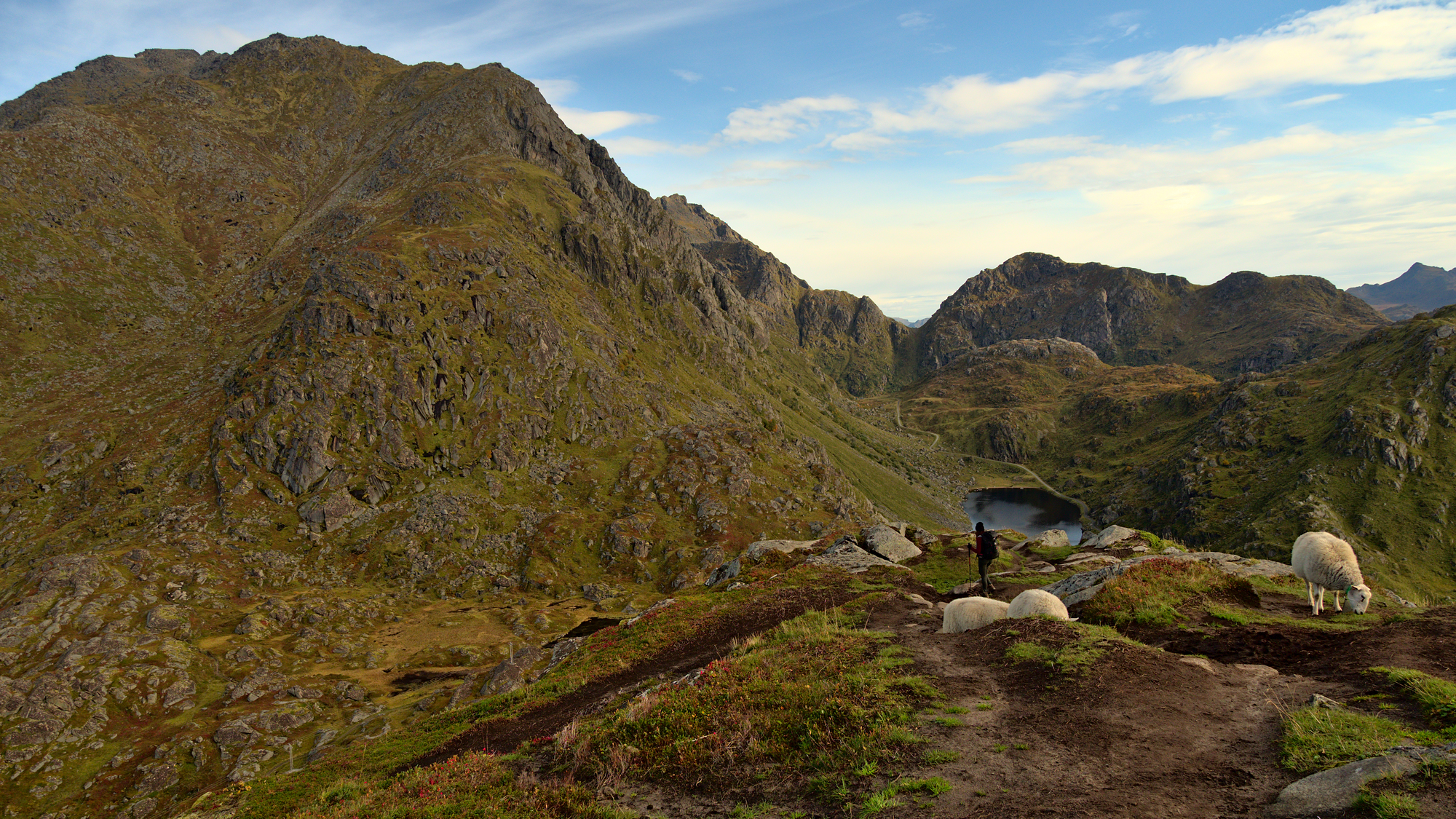 Nazwa:  KS160357.jpg
Wyświetleń: 151
Rozmiar:  3,18 MB